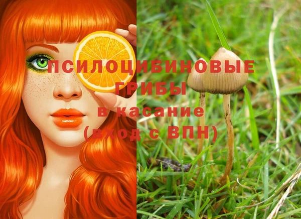 СК Абаза