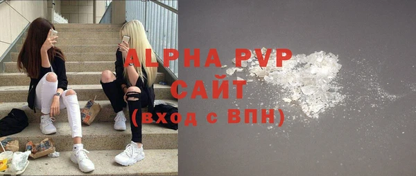 шишки Алзамай
