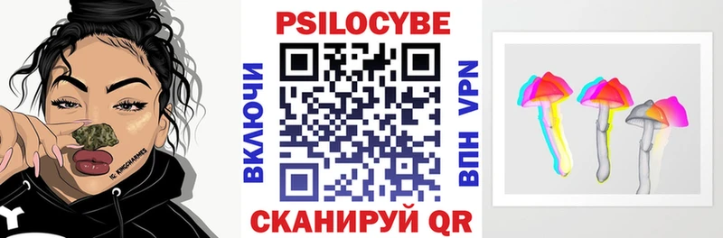 магазин продажи наркотиков  Харабали  Псилоцибиновые грибы Psilocybe 
